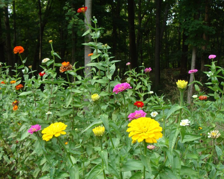 ???????????????????????????????