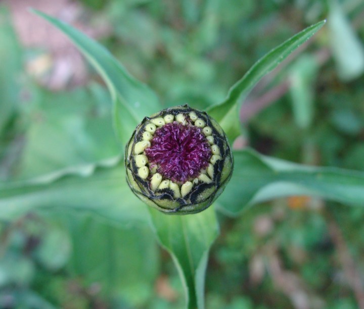 ???????????????????????????????