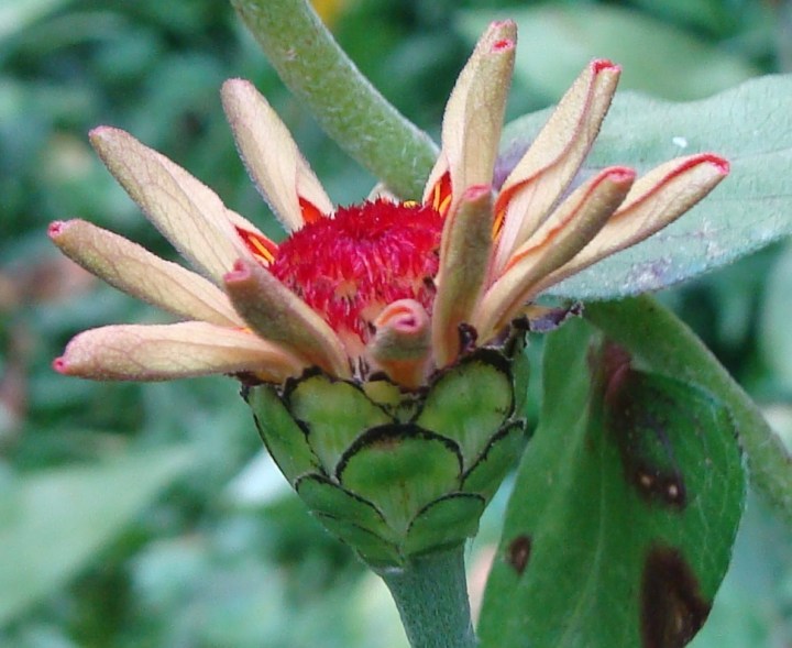 ???????????????????????????????