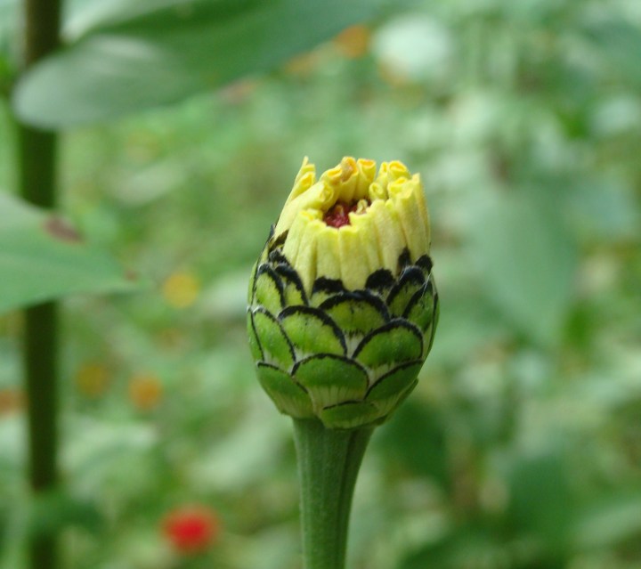 ???????????????????????????????