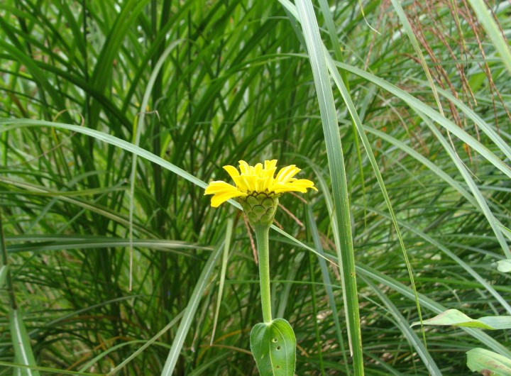 ???????????????????????????????