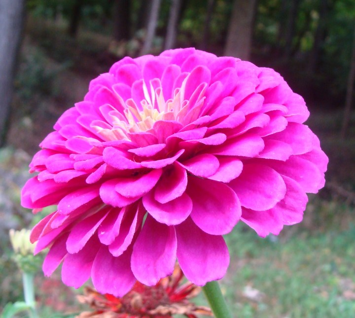 ???????????????????????????????