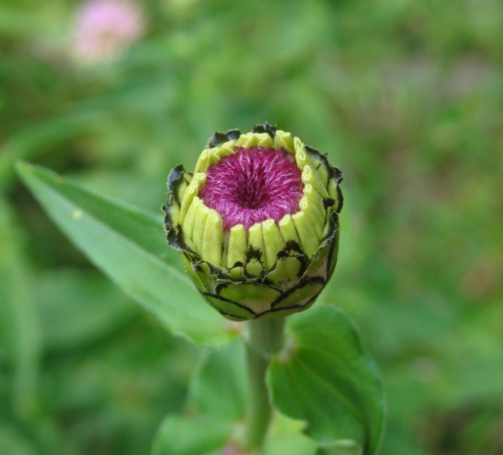 ???????????????????????????????