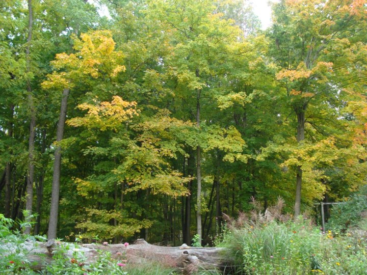 ???????????????????????????????