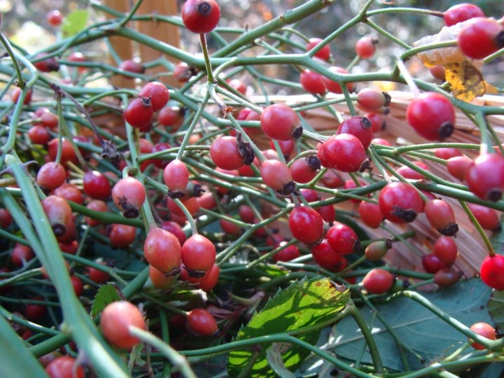 ???????????????????????????????