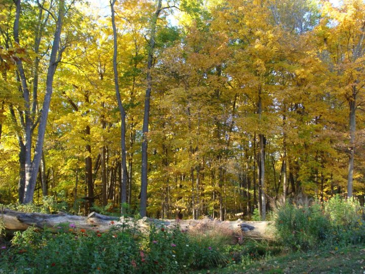 ???????????????????????????????