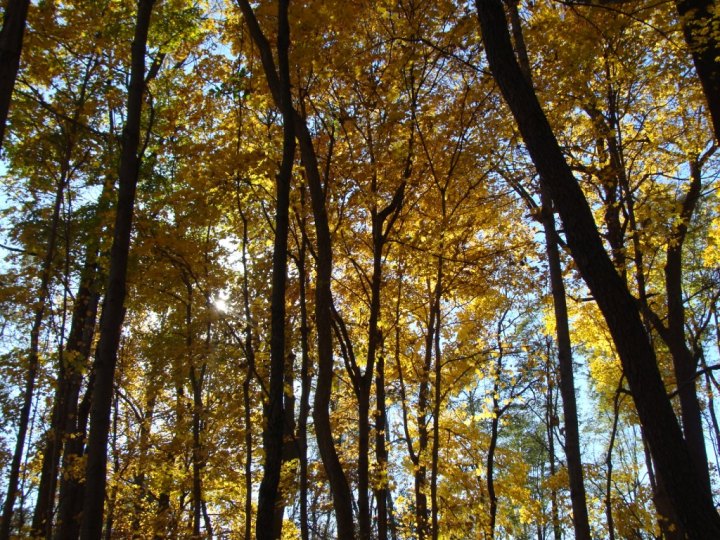 ???????????????????????????????