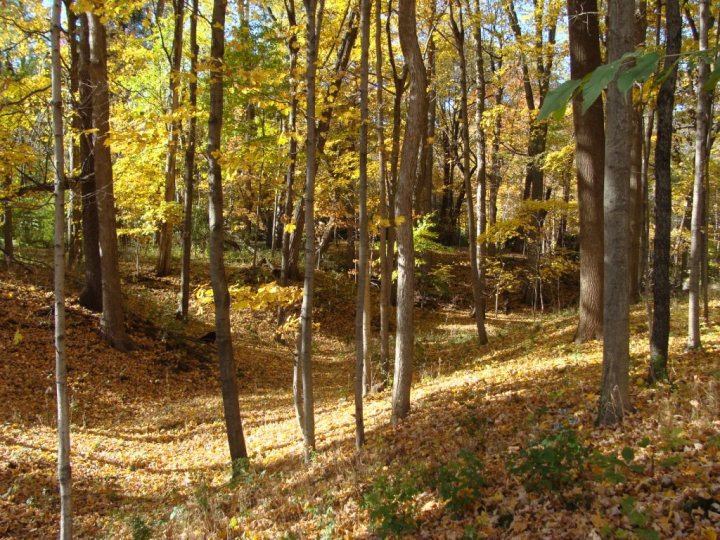 ???????????????????????????????