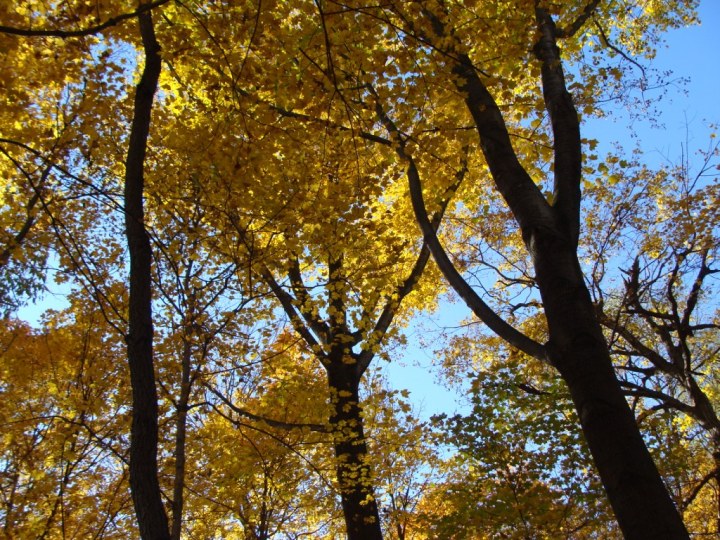 ???????????????????????????????