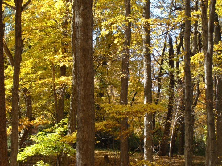 ???????????????????????????????