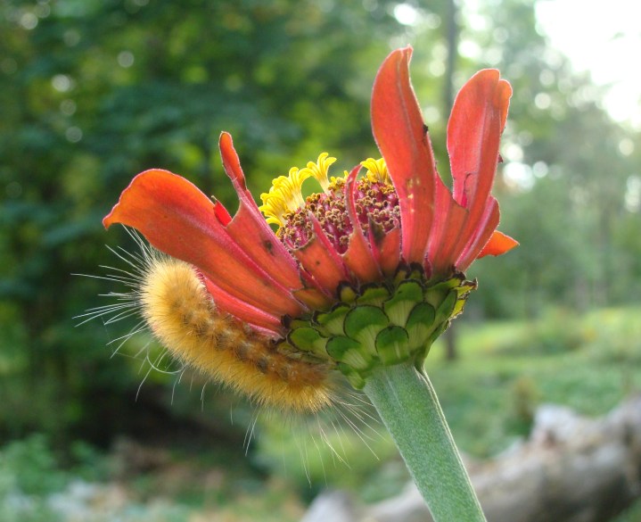 ???????????????????????????????