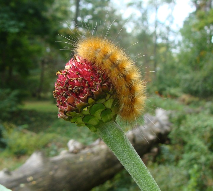 ???????????????????????????????