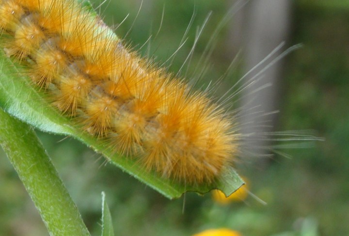 ???????????????????????????????