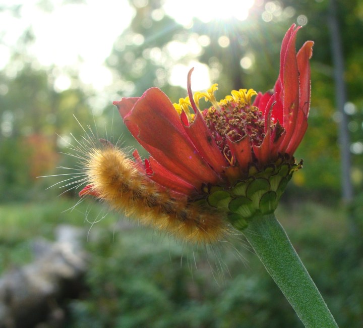 ???????????????????????????????