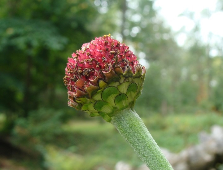 ???????????????????????????????