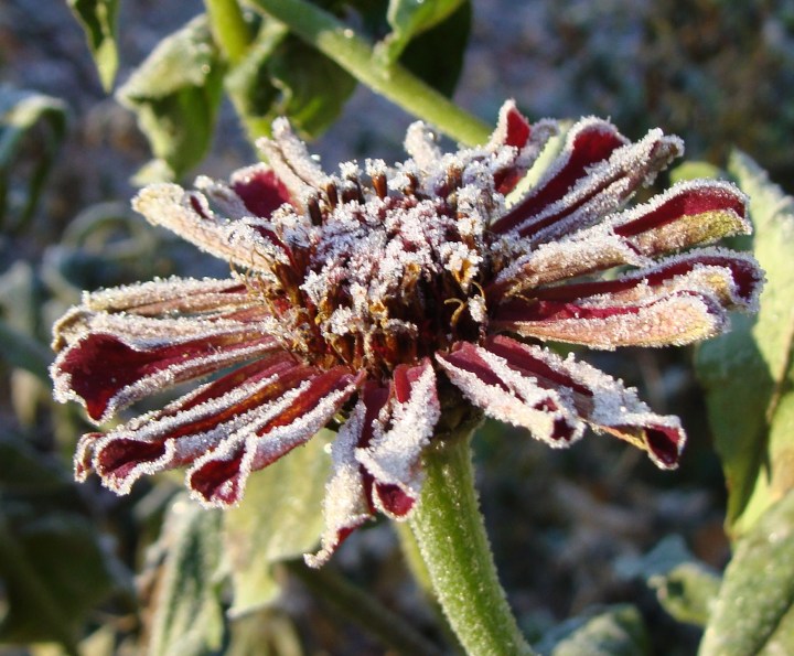 ???????????????????????????????