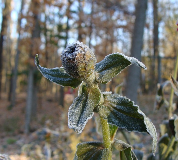 ???????????????????????????????