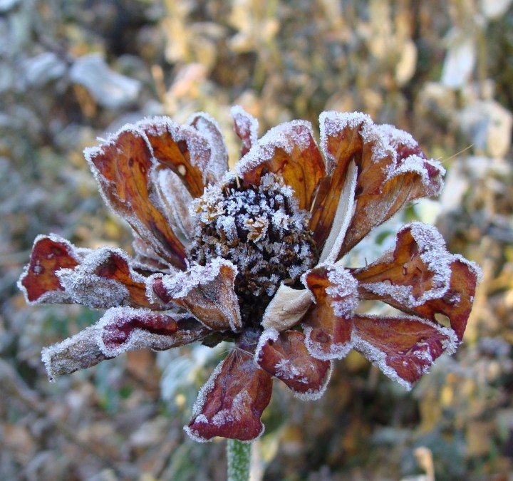 ???????????????????????????????