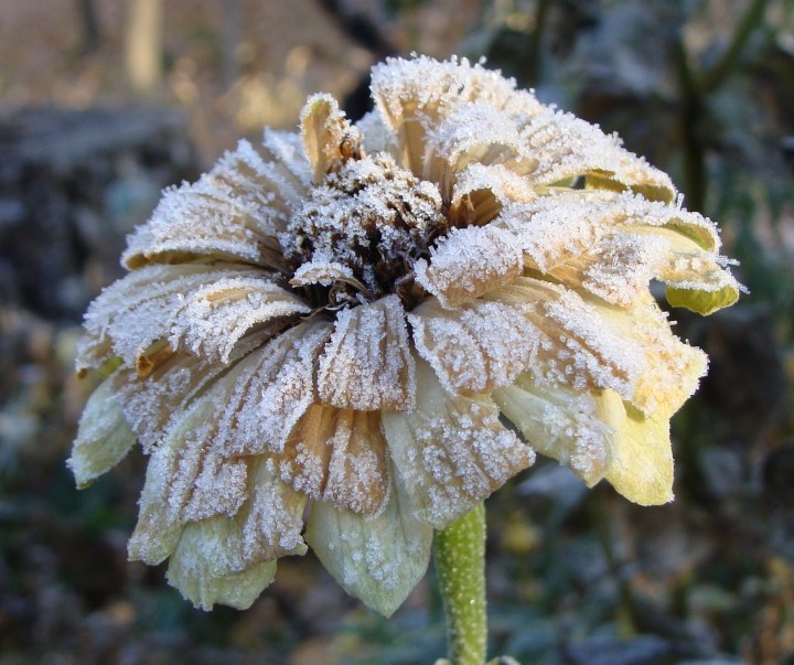 ???????????????????????????????