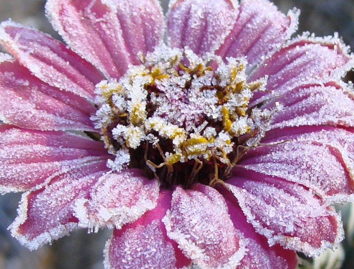 ???????????????????????????????