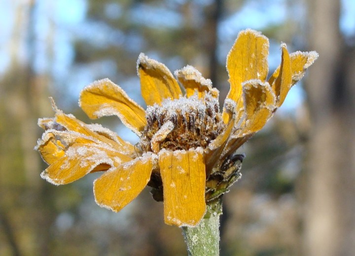 ???????????????????????????????