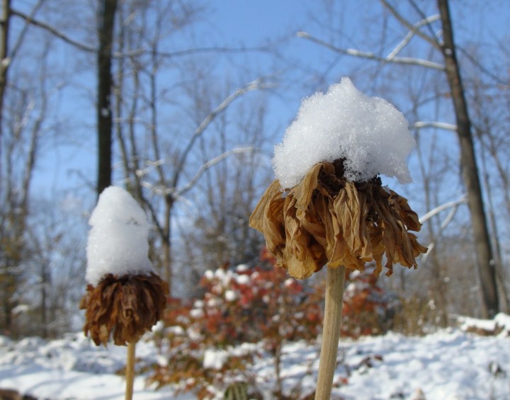 ???????????????????????????????