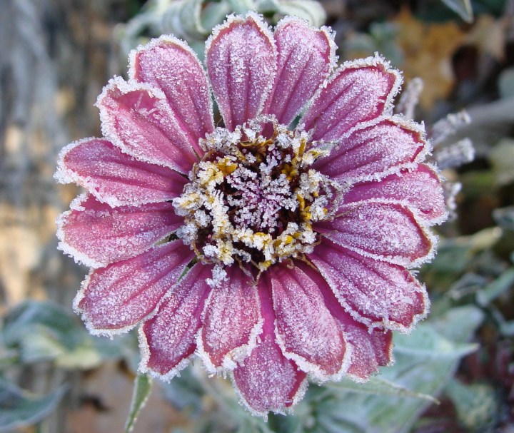 ???????????????????????????????