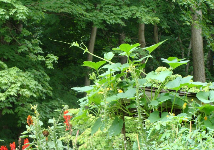 ???????????????????????????????