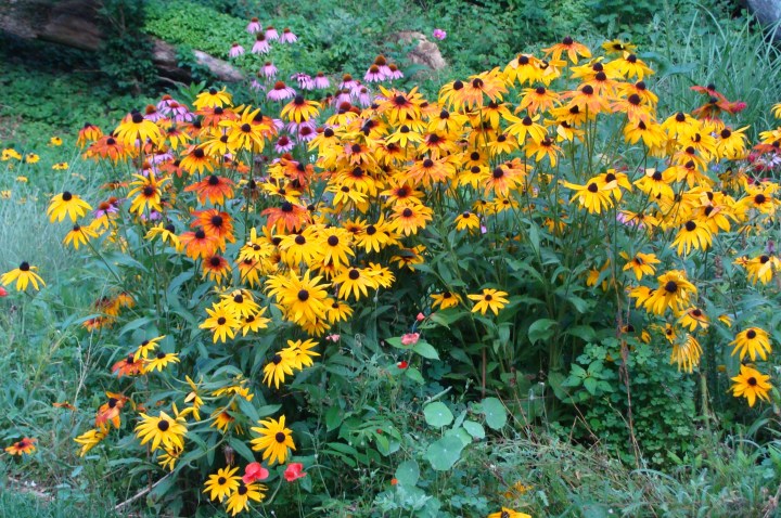 ???????????????????????????????