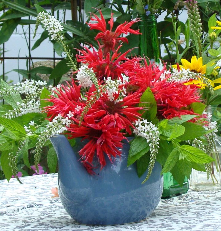 150704-Traditions-11